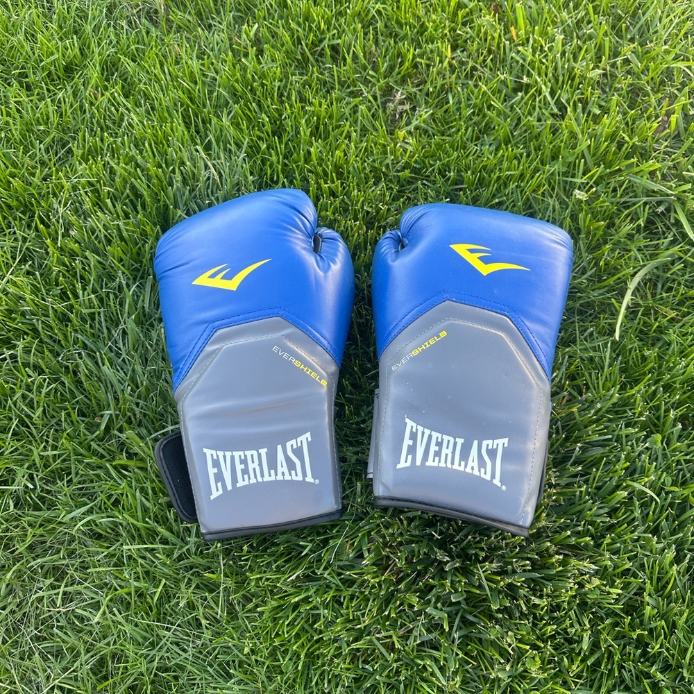 Everlast Pro Style Elite Training Gloves